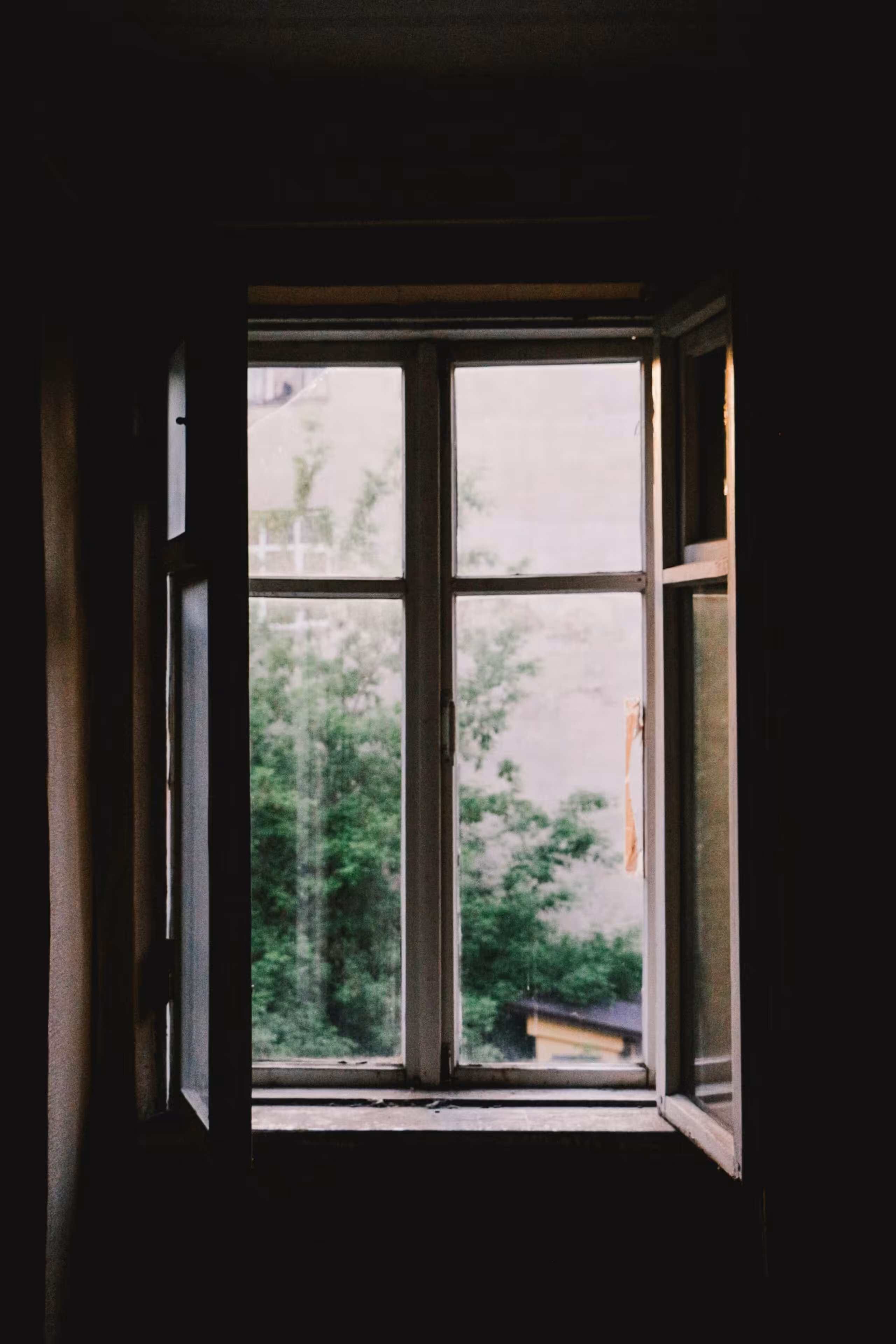 disaster proof windows