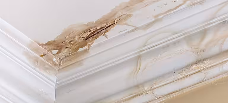 Water Damage Restoration service example